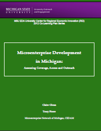 Report for 2012: Microenterprise Development in Michigan: Assessing Coverage, Access and Outreach 