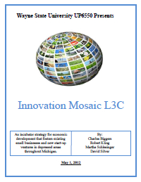Report for 2012: Innovation Mosaic L3C 
