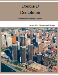 Double D Demolition Report Cover