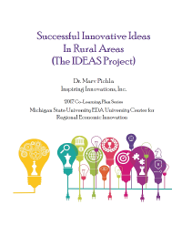 Report for 2017: Successful Innovative Ideas in Rural Areas 