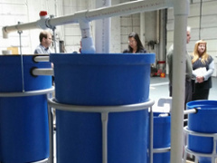 Photo of Flint Aquaponic facility