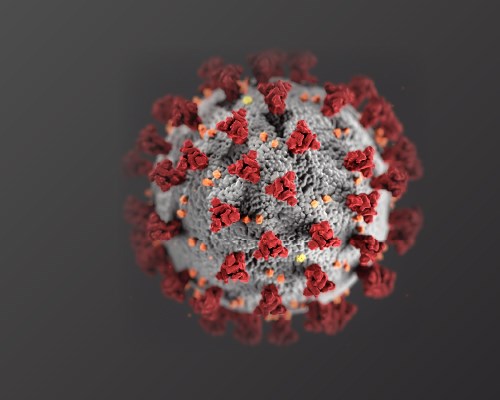 Close up of Coronavirus
