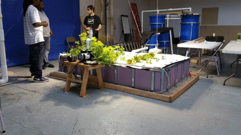 Aquaponics group in Flint